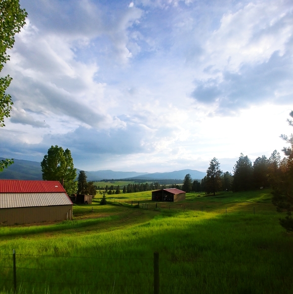 Closet Closing- OFFERS WELCOME - 20% GOES TO POSH ! SELLING CLOSET 📌 - Picture 8 of 16